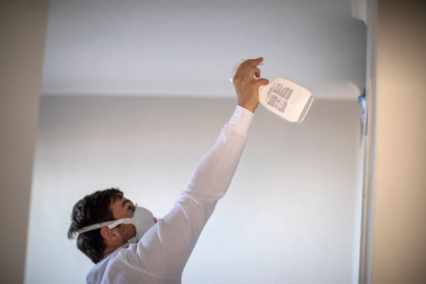 Best Black Mold Removal  in Centreville, MS