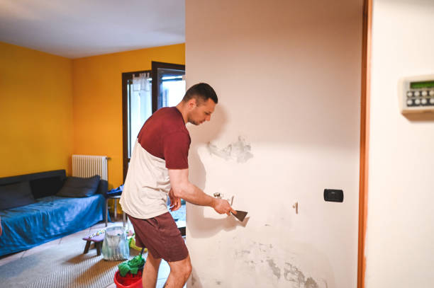 Best Certified Mold Removal  in Centreville, MS